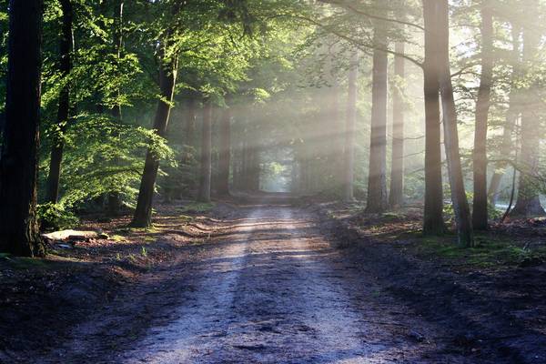 Quelle: Bild von <a href="https://pixabay.com/de/users/bertvthul-1134851/?utm_source=link-attribution&utm_medium=referral&utm_campaign=image&utm_content=815297">bertvthul</a> auf <a href="https://pixabay.com/de/?utm_source=link-attribution&utm_medium=referral&utm_campaign=image&utm_content=815297">Pixabay</a>